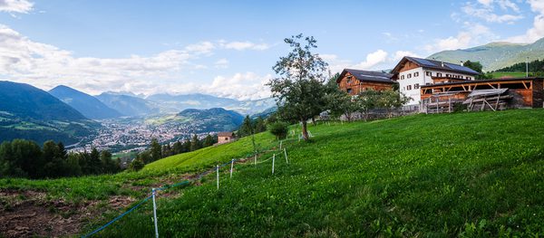 Foto von Alexander Hellen