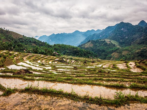 Foto von Alexander Hellen